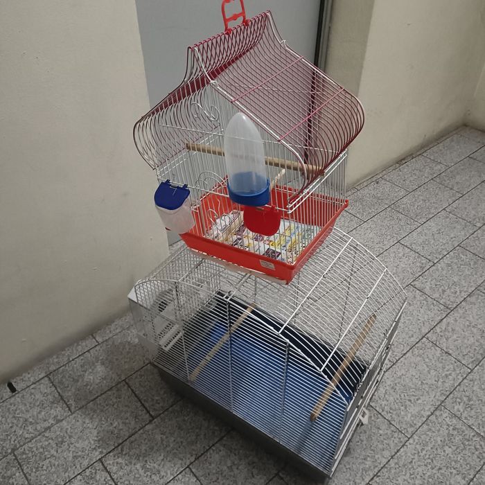 Conjunto de gaiolas em bom estado de conservação.