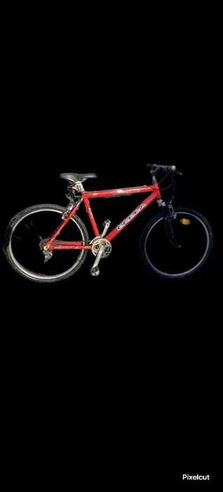 Orbea Tuareg BTT 26" – Shimano 21 Velocidades – Vermelha