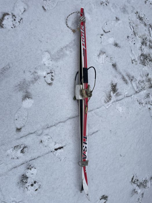 Лыжи. Почти новые.