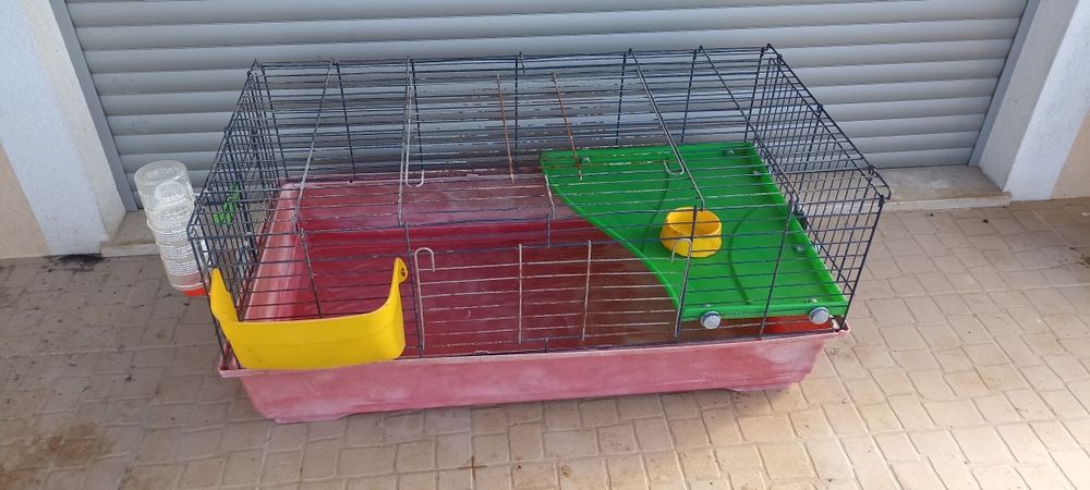 Gaiola jaula coelho anão porquinho da Índia roedores