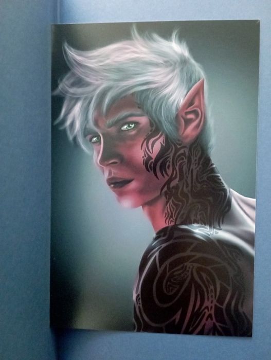 Книга "Наследница огня" Сара Дж. Маас серія "Стеклянный трон"