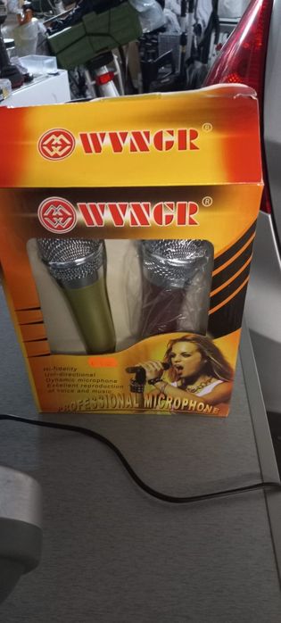 Karaoke com microfones da Concentra