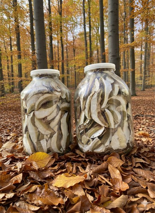 Сушені Білі Гриби