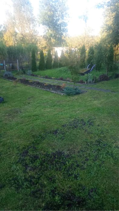 Dzialka ROD Lipnik Bielsko-Biala - Widok 3