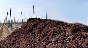 Sprzedam Podłoże popieczarkowe