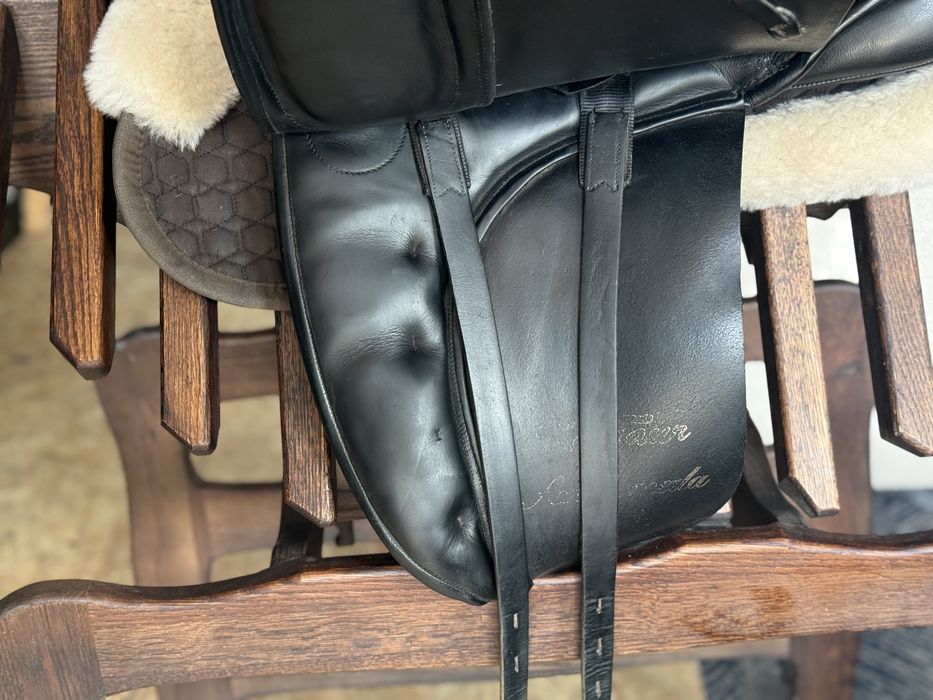 108. Kentaur Andromeda Dressage 17,5” / 33