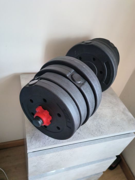 Halteres de musculação