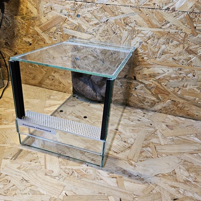 Terrarium udekorowane