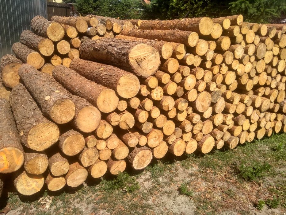 Drewno Kominkowe Opałowe Sosna Brzoza Dąb Grab