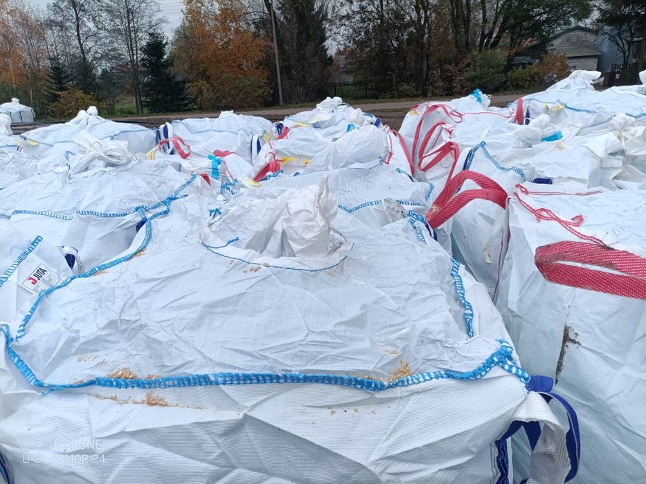 Kukurydza mielona