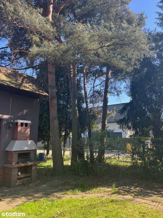 Przestronny ,zadbany dom z pięknym dużym ogrodem.