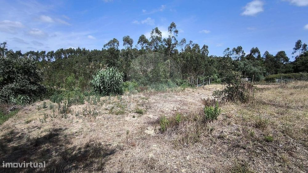 Terreno  para venda — Monte Redondo E Carreira, Leiria