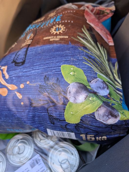 Karma dla psa dobre marki