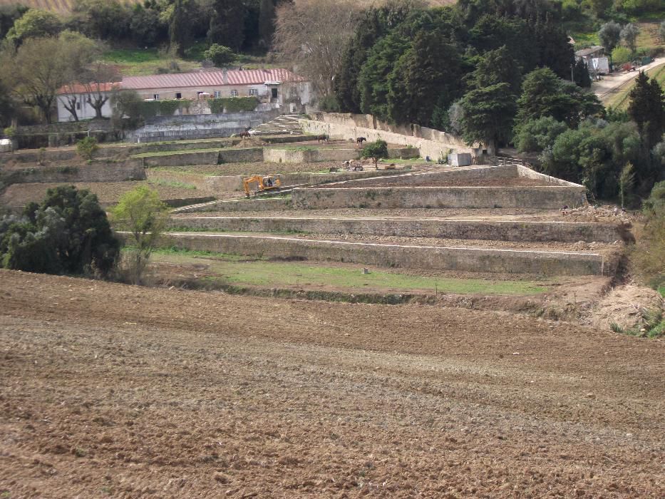 Construção de Muros de Pedra64706098306689122