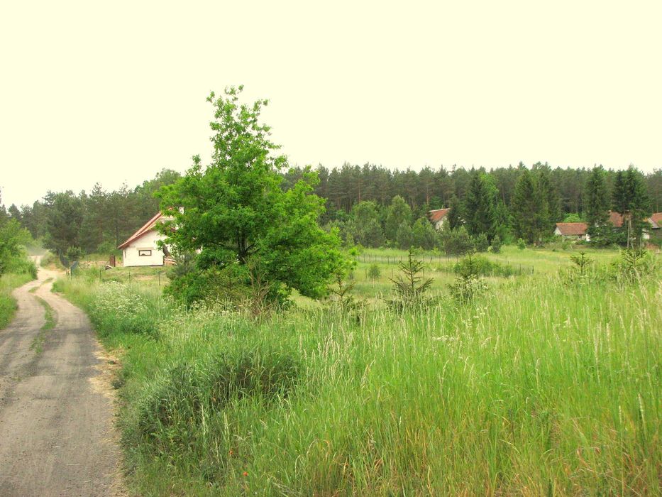 Działka bud. z War. Zab. -Łapka k/Barczewa