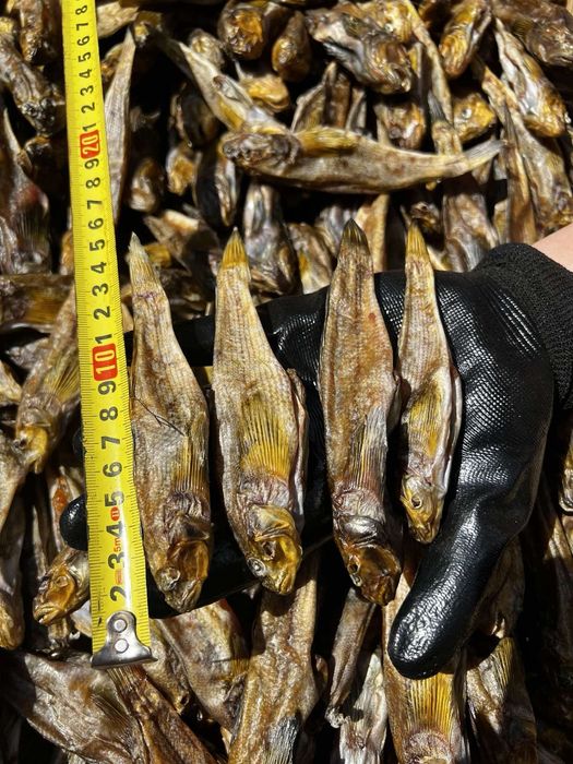 Бычок  вяленый  икрянчик.