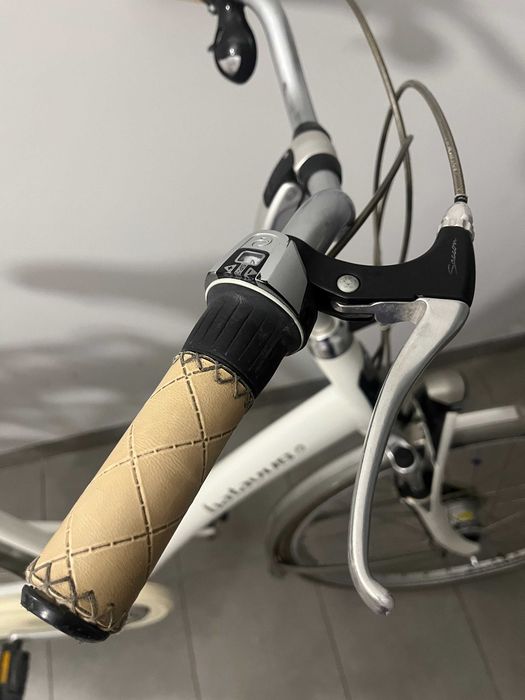 Wiosenny rower holenderski Batavus