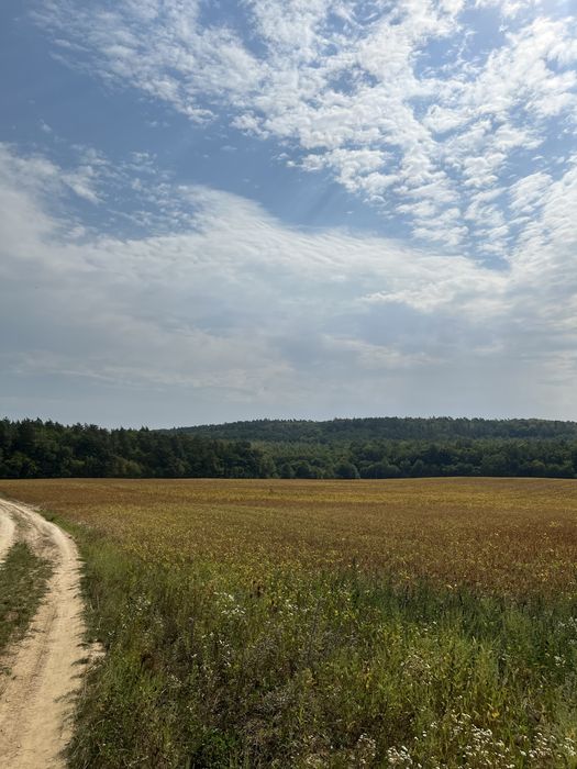 Земельна ділянка 2 га в Корнині