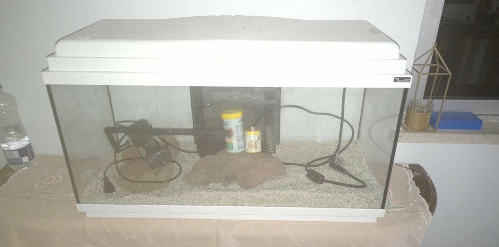 Aquario com algum uso mas com tudo e em bom estado