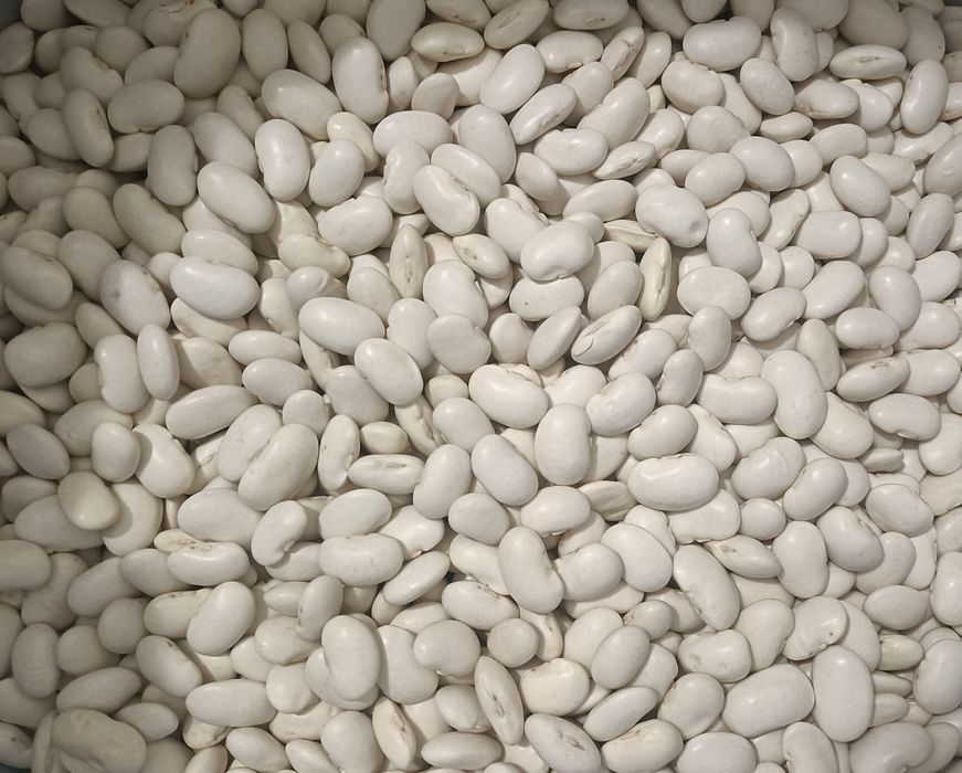 Fasola Jaś -Promocja-wspierajmy Polskie rodzinne gospodarstwa