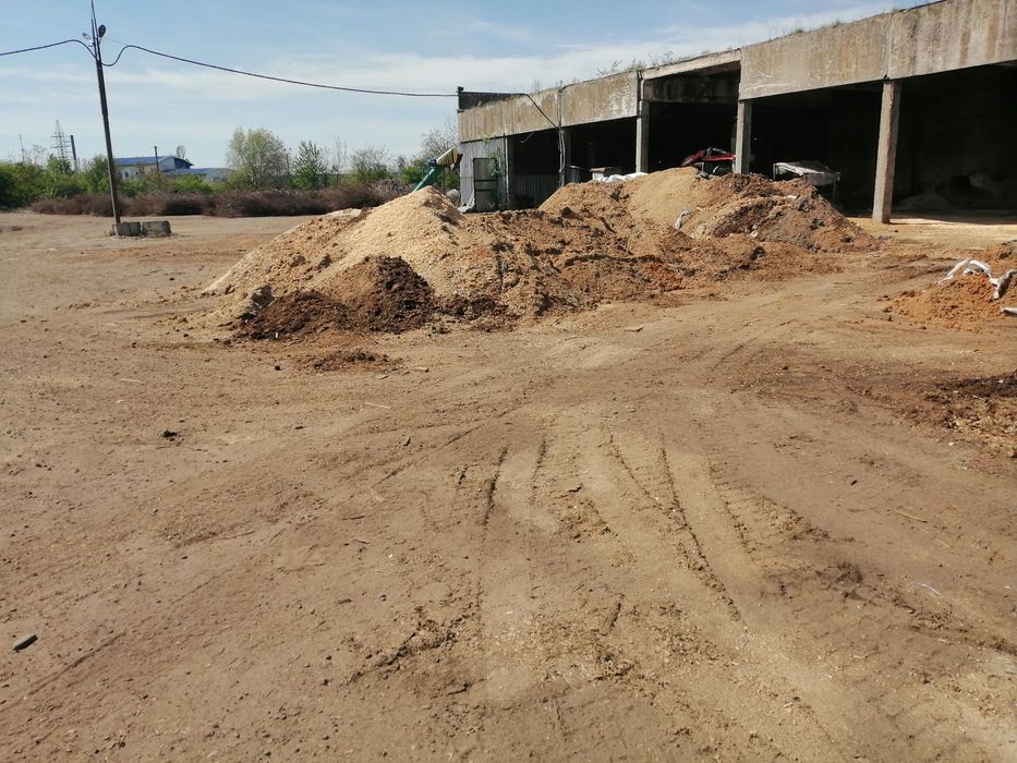 Опилки під лохину. лохина