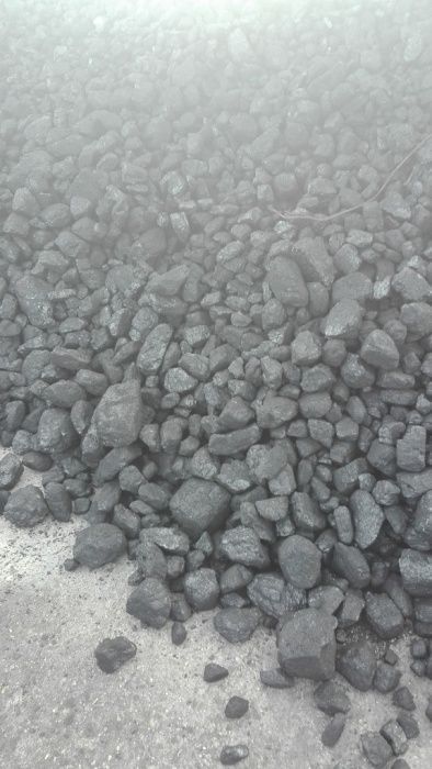 KWK Mysłowice-Wesoła orzech I Promocja