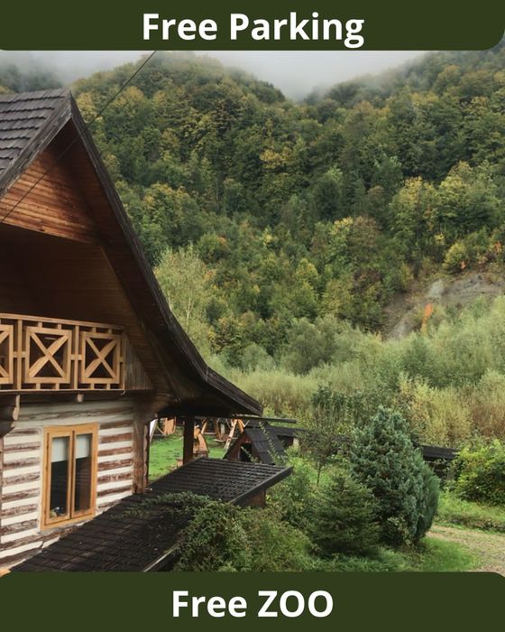 Відпочинок в Карпатах