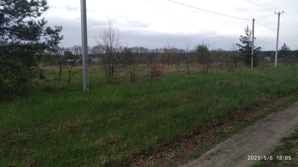 Дзвінкове. Ділянка під забудову площею 15соток біля лісу.