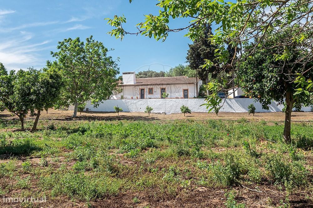 Quinta T3 para venda