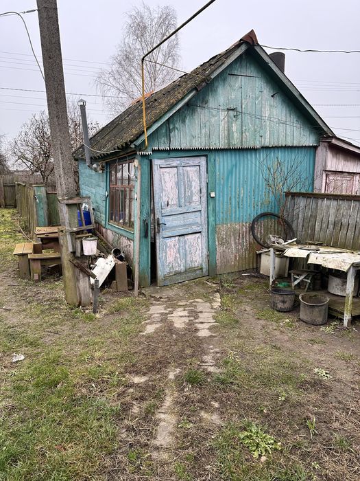 Продаж будинку з ділянкою 25 соток  с. Небелиця, Київська область