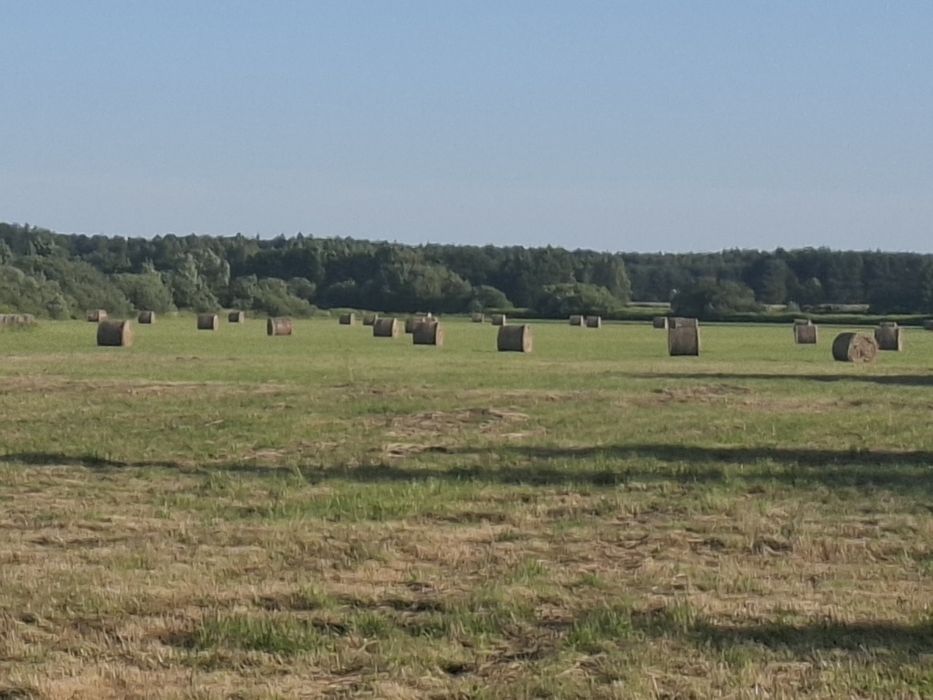 Sprzedam łąkę 2.72ha