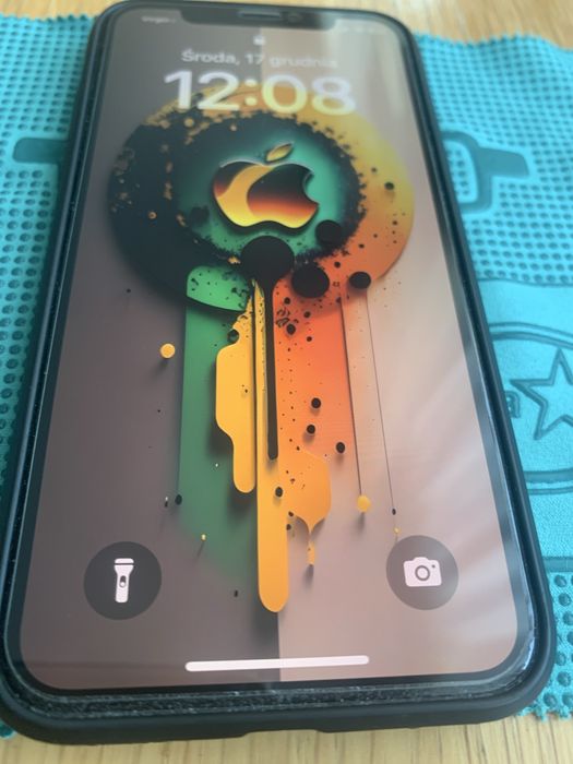 iPhone XS 256GB/100%