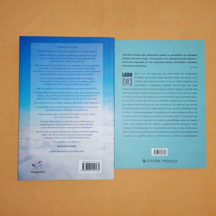 livro Voo Sensitivo e Código Ergo SUM - como novos e sem danos