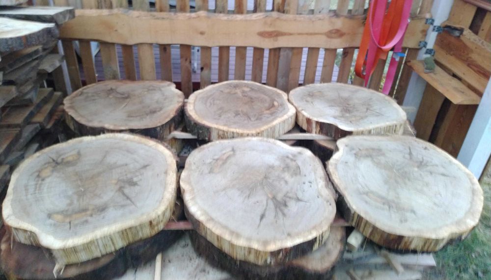 Plastry Drewna Buk Świerk Lipa Dąb