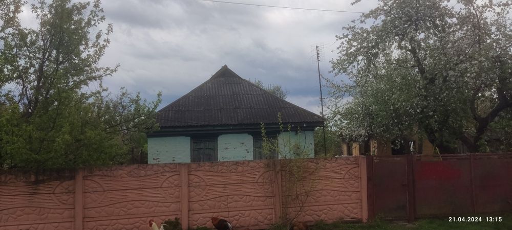 Продам 2 будинка