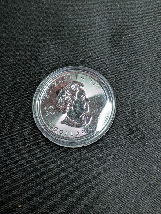 Moeda 1 oz onça prata Canada