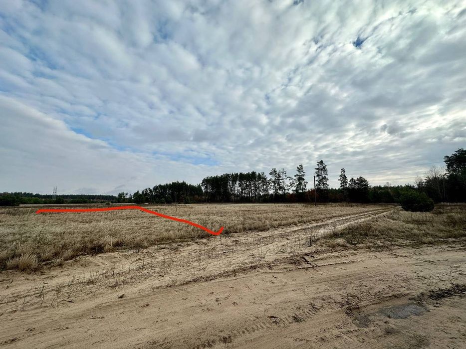 КУТОВА Ділянка 15 сотів біля ЛІСУ. Село Дмитрівка. БЕЗ КОМІСІЇ.