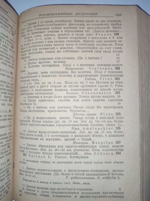Определитель высших растений СССР Талиев