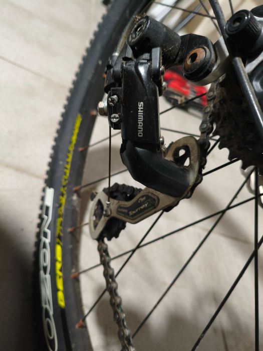 Bicicleta Berg roda 29"