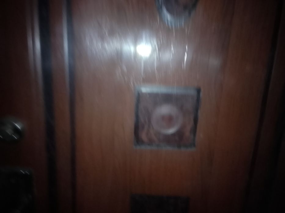 Дверь входная, металлическая.