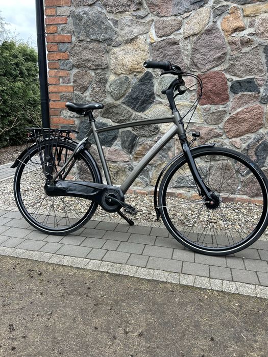 Rower Gazelle Chamonix c8