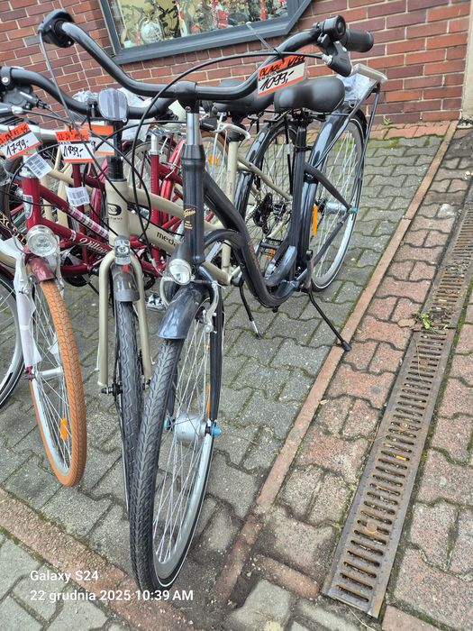 Rowery Curtis/Giant/Sparta/Gazelle/Batavus/MTB/Pegasus/Altra/KCP/Union