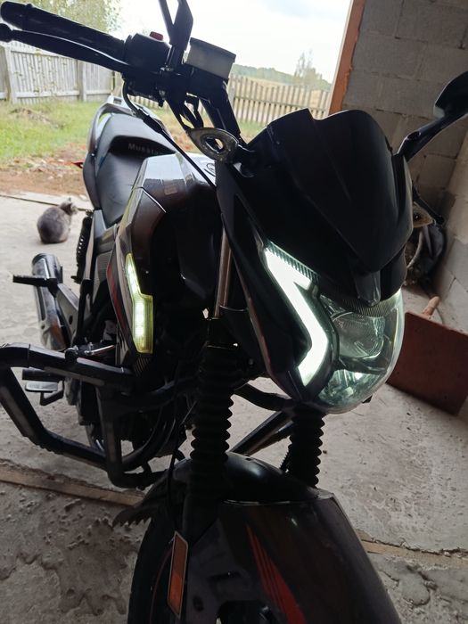 Мустанг фортуна 200