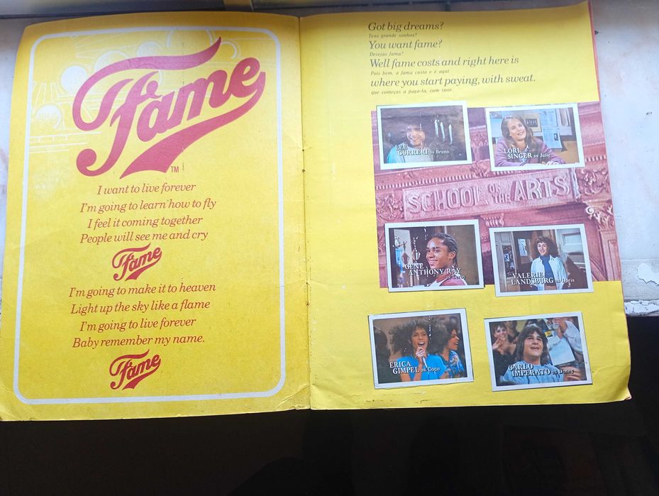 Coleção 240 autocolantes Fame completa