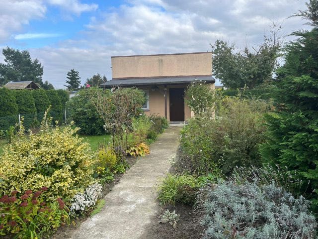 Działka ROD w Szczypiornie 320m2 z murowanym domkiem