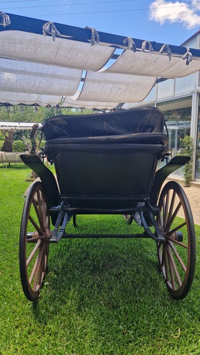 Charrete estilo Milord usada