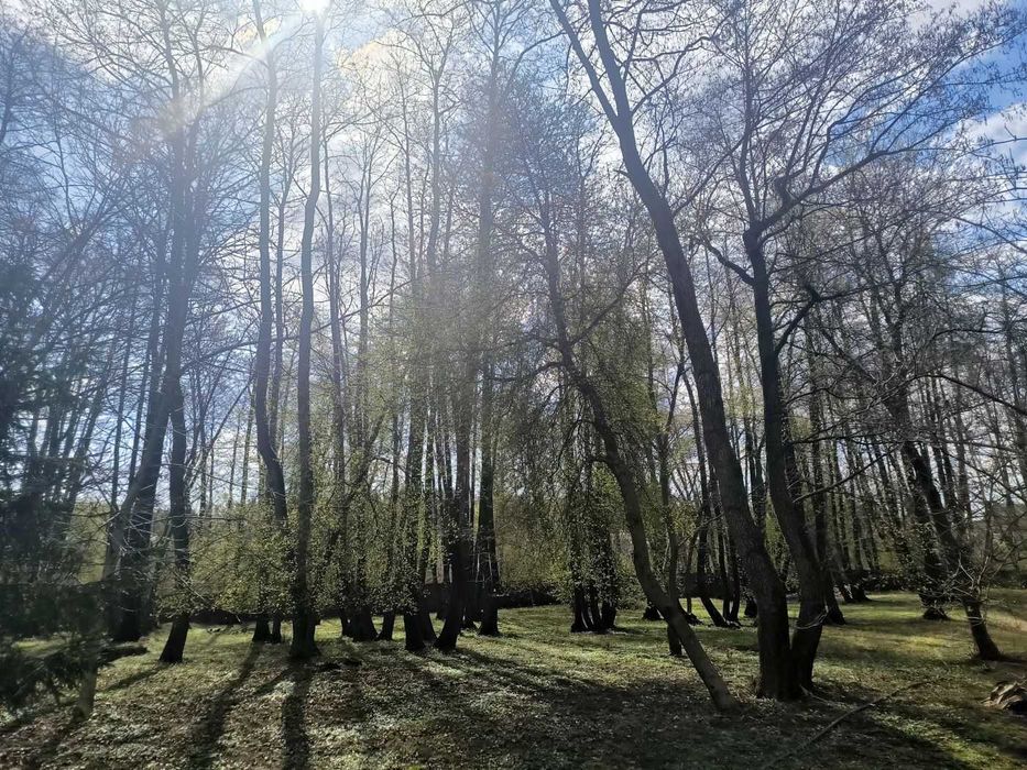 Продам  150сот.землі  та озеро під будівництво комплексу відпочинку