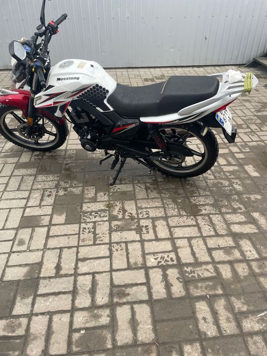 Продам мустанг 200мт