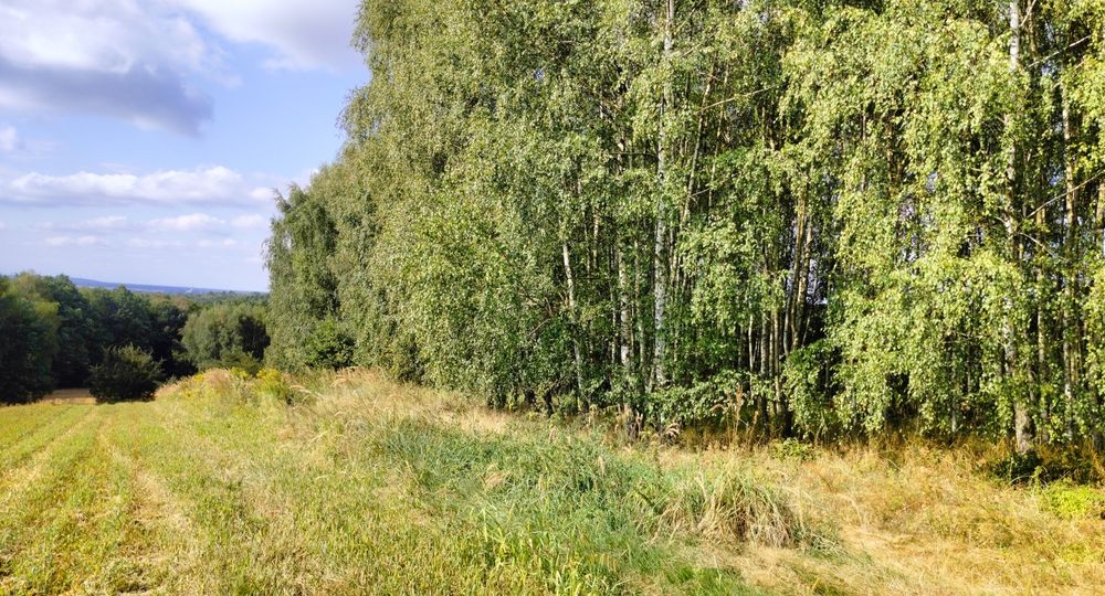 Przepięknie położona działka budowlana 2553 m² - Widok 4