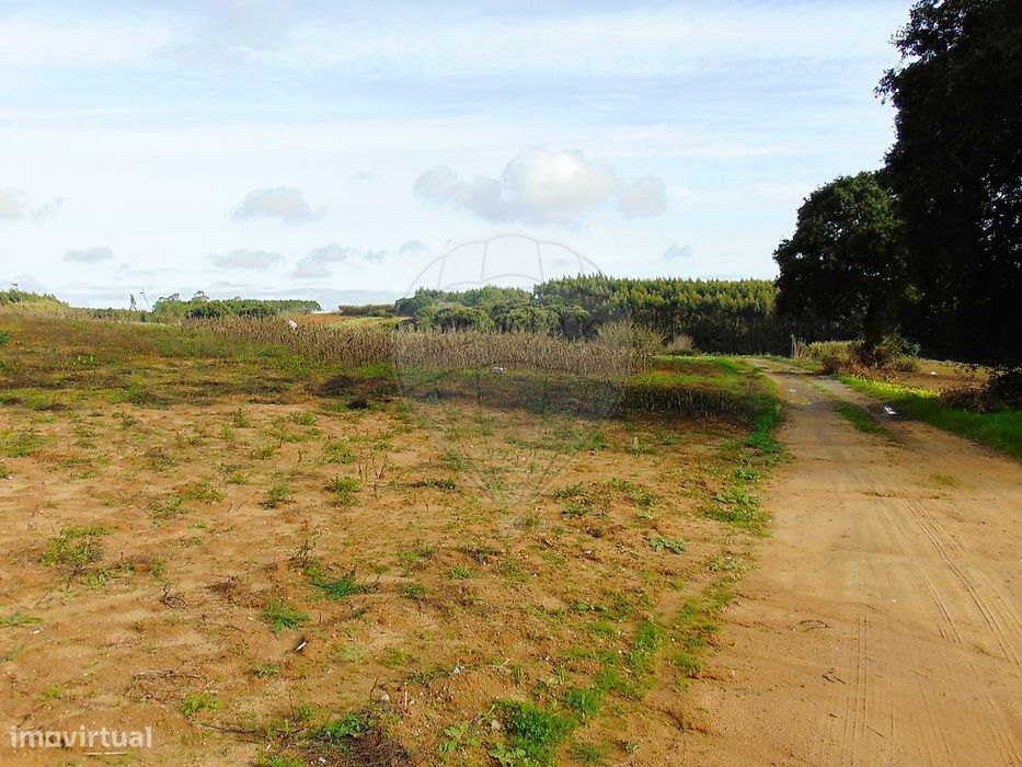 Terreno  para venda